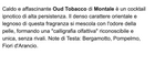 Montale Paris - 100ml Edp - Oud Tobacco