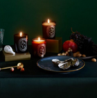 Diptyque Olfattorio - Diptyque Bougie Parfumee 300ml Feu DE Bois