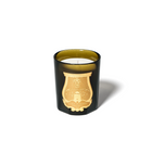 Cire Trudon Candela Profumata 270gr Spiritus