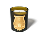 Cire Trudon 2022 - Candela  Ernesto 270gr - 800gr - 2,8kg