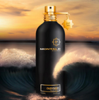 Montale Edp 100ml Oudyssee